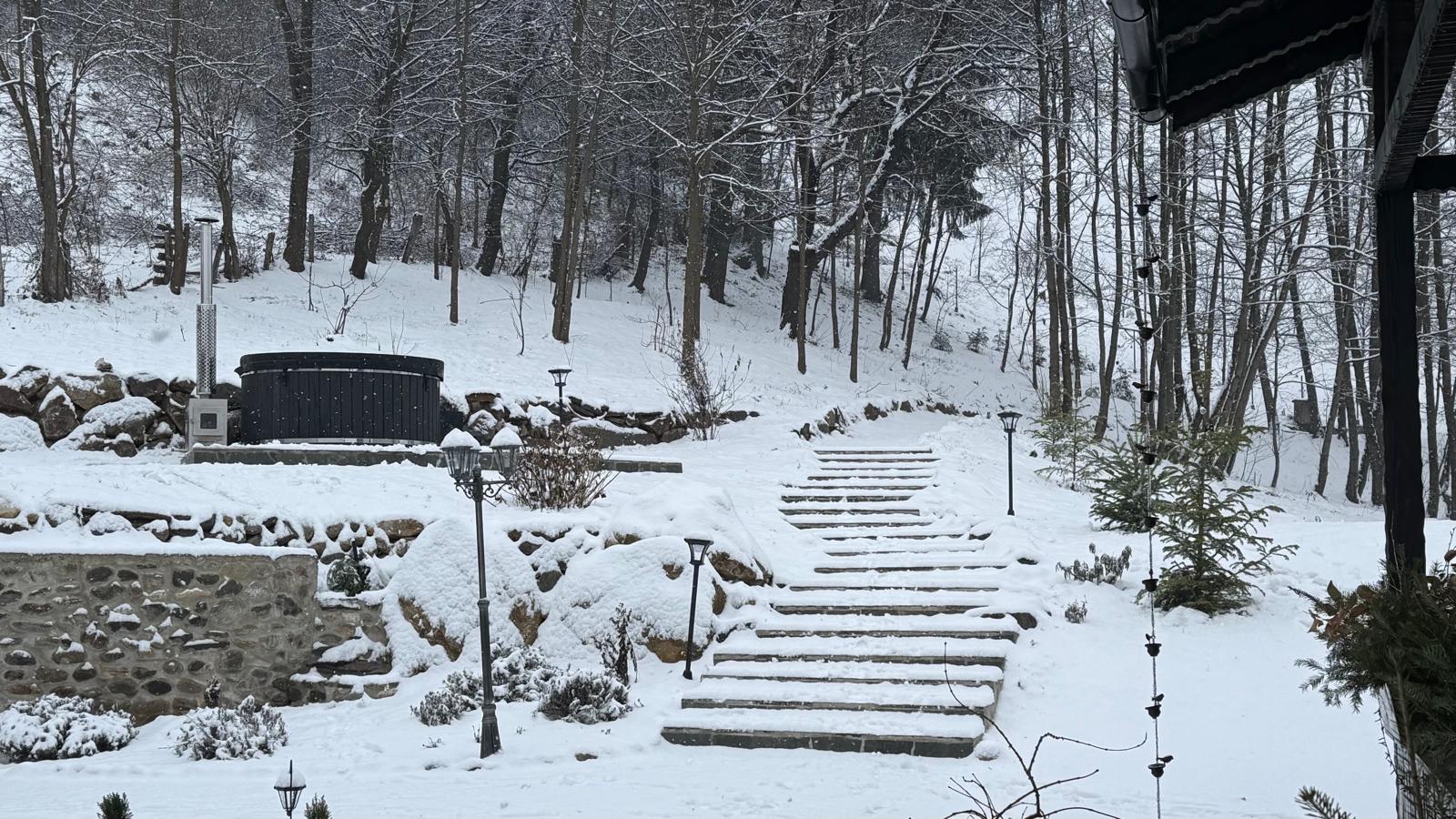 Odaile Brancovenesti