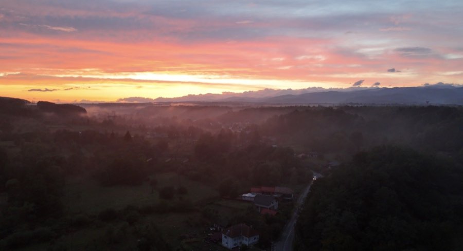 Pădure și exterior natural